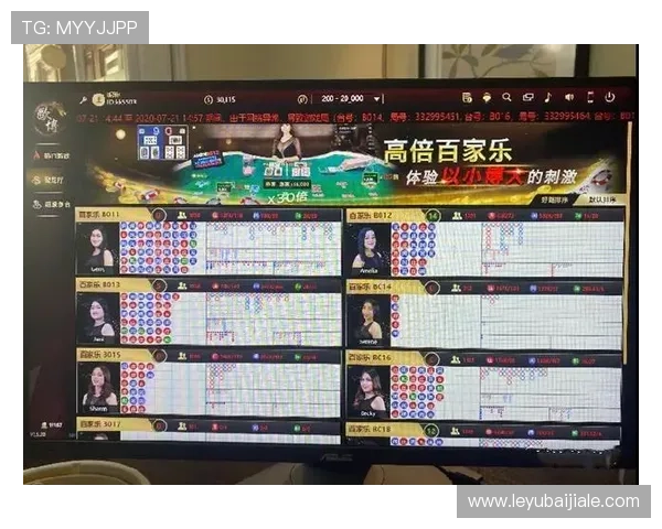 专业百家乐路单软件功能详解及其在实际游戏中提升盈利能力的应用分析