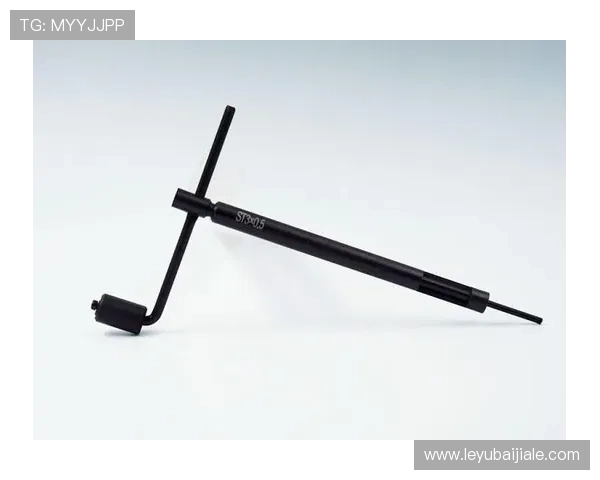 新手必看：K8凯发滚球盘入门基础知识与快速上手技巧