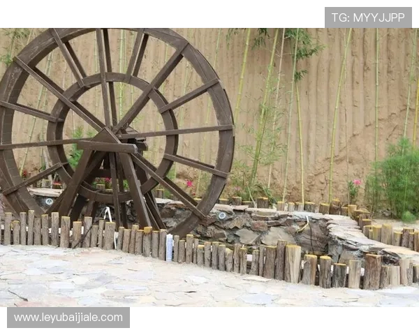 线上现金真人游戏的玩法技巧与风险控制策略详解