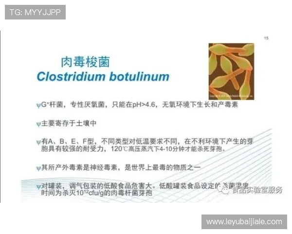 白家乐规则全面介绍帮助玩家理解游戏流程与投注策略提升体验