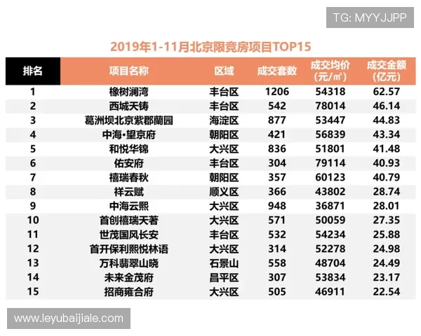 深入分析百家乐路单实例，提升玩家实战决策能力与赢面策略